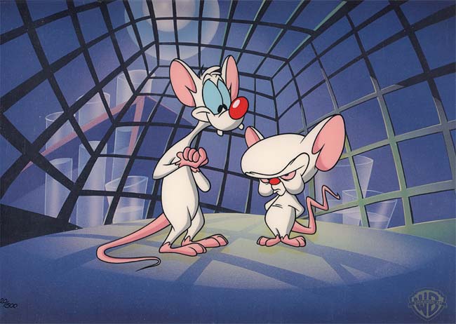 Pinky And the Brain
